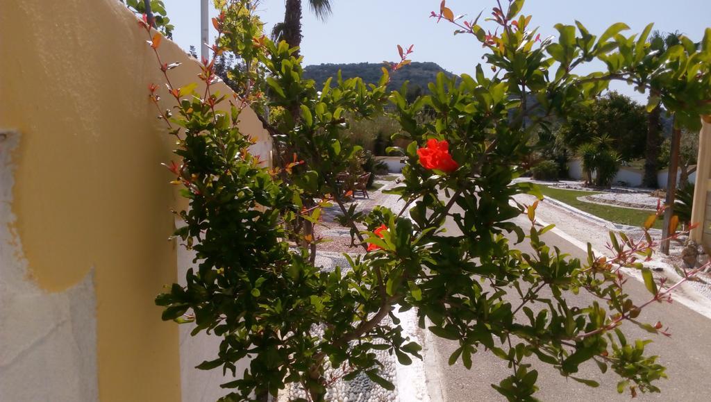 דירות פליראקי Mosaic Gardens מראה חיצוני תמונה